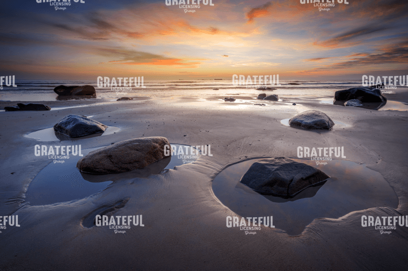 Rick Berk-Wells of Tranquility.tif