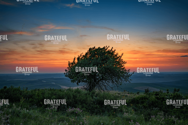 Sunset on Steptoe Butte