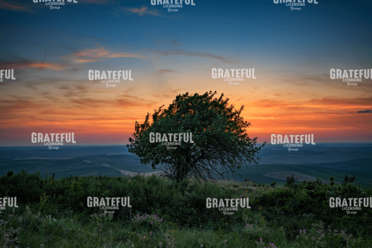 Sunset on Steptoe Butte