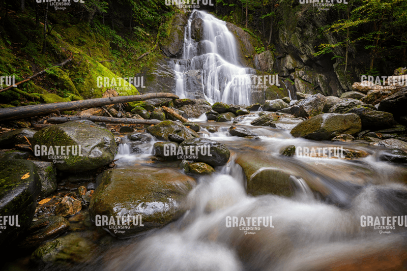 Moss Glen Falls II.tif