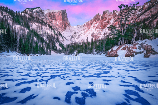 Frozen Dream