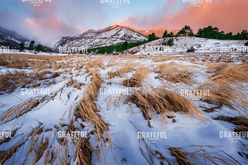 Winter on the Plain.tif