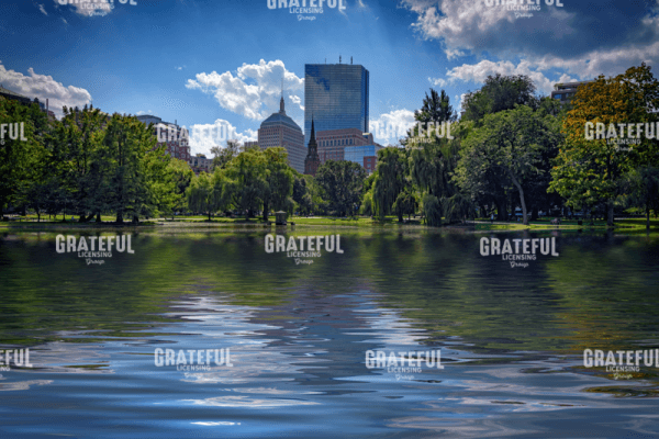 Lagoon in Boston Public Garden.tif