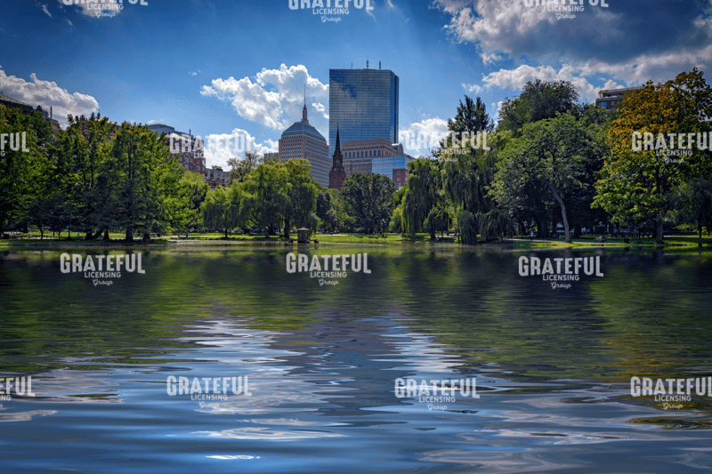 Lagoon in Boston Public Garden.tif