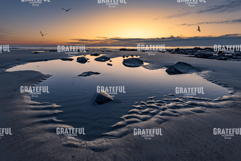 Wells Beach Solitude.tif