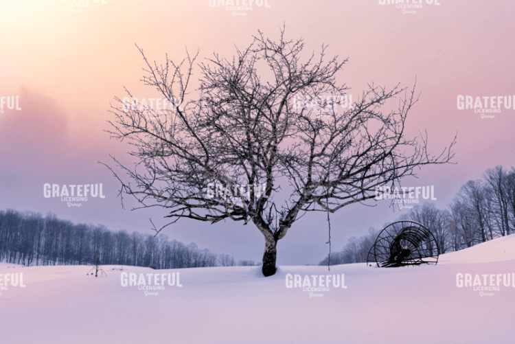 Winter Twilight.tif