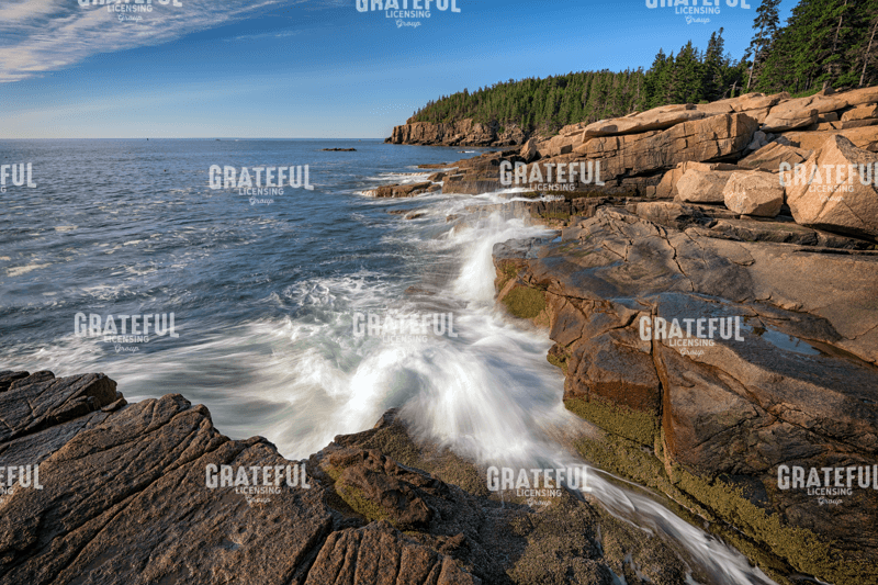 Springtime Acadia National Park.tif