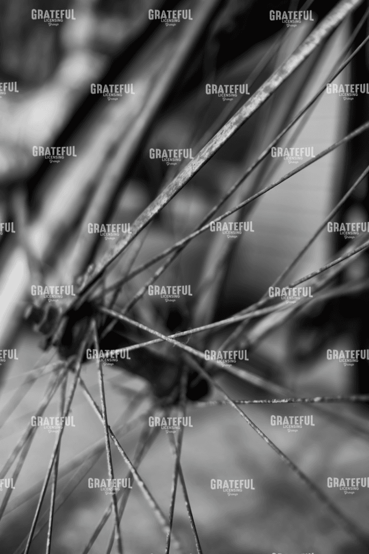 Old Bicycle Wheel.tif
