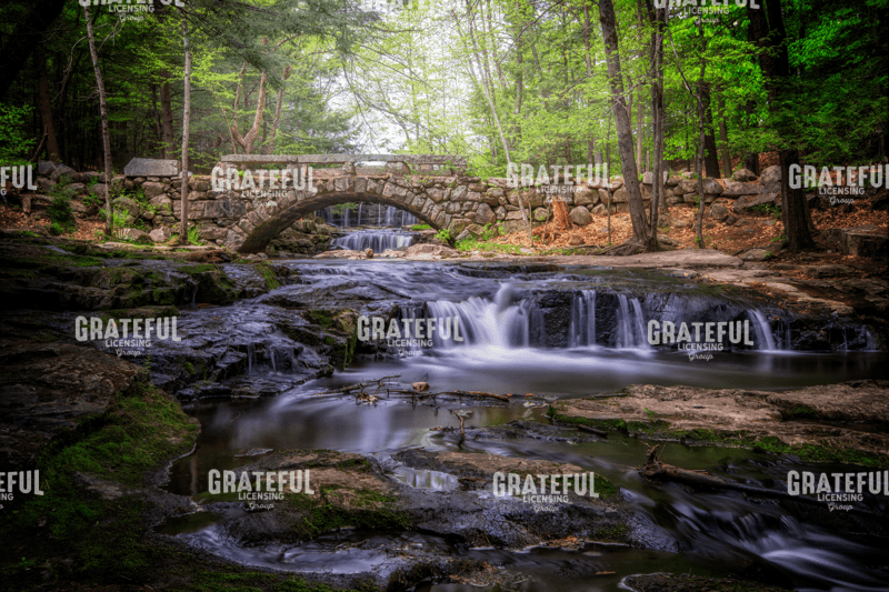 Spring Day in Vaughan Woods.tif