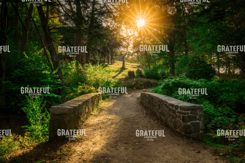 Across The Bridge.tif