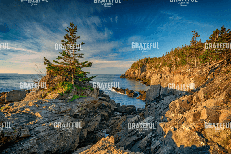 Cliffs of Quoddy Head State Park.tif