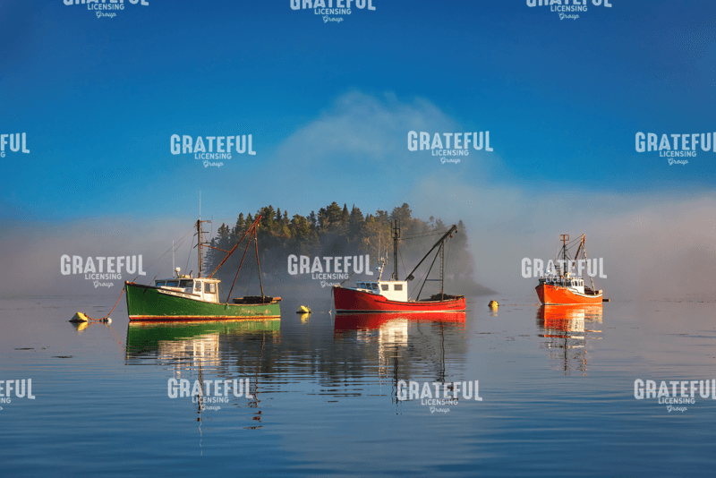 Misty Morning on Johnson Bay.tif