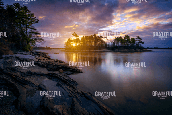 Sunrise in Wolfe's Neck Woods