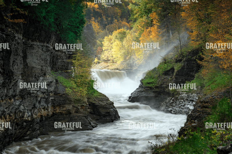 Lower Falls of the Genesee River