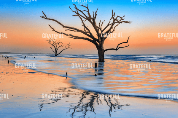 Reflections Erased