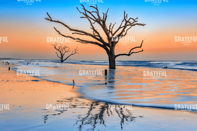 Reflections Erased