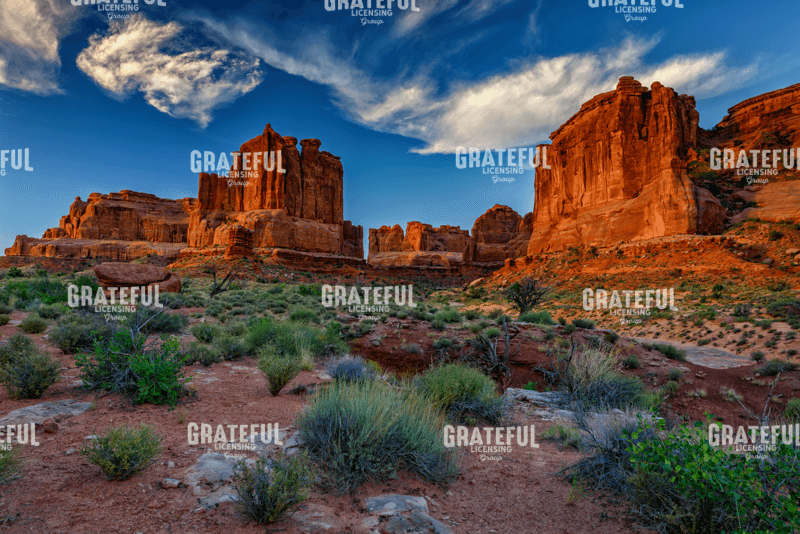 Morning on Park Avenue