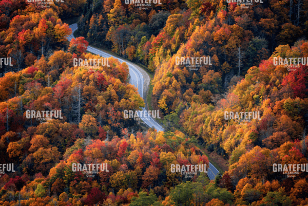Newfound Gap