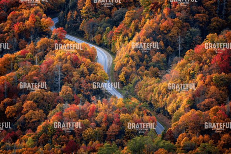 Newfound Gap
