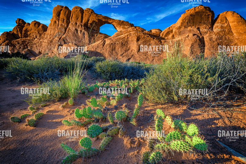 Skyline Arch at Sunset