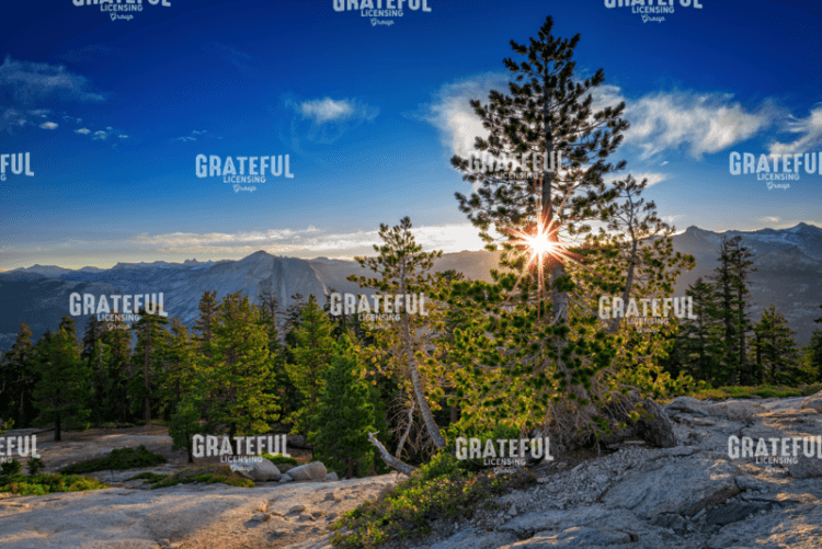Sunrise on Sentinel Dome