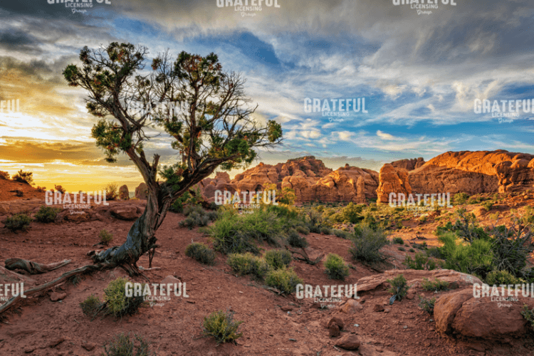 Sunset in Moab