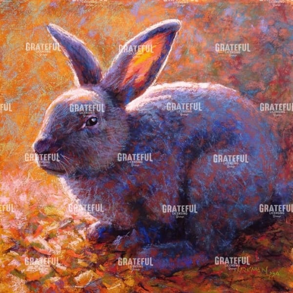 Plum Bunny