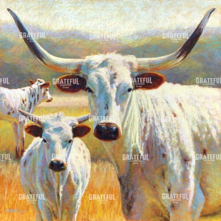 Dawn of a Texan Dynasty
