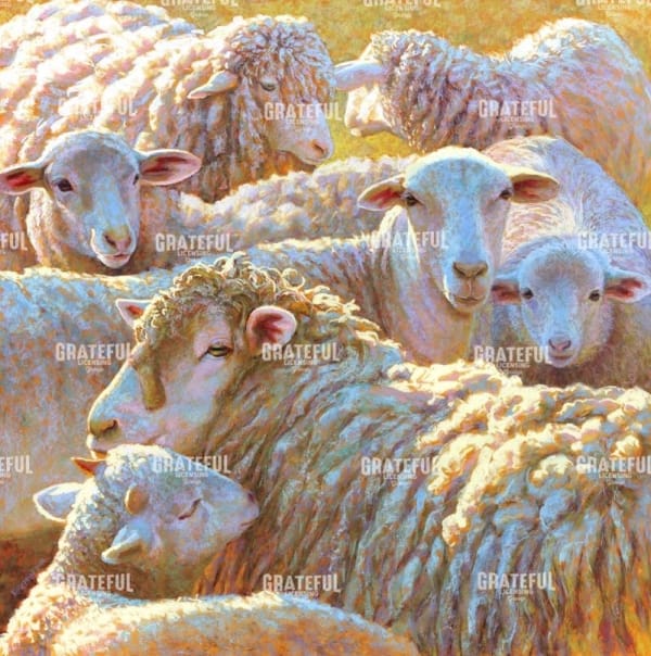 Counting Sheep