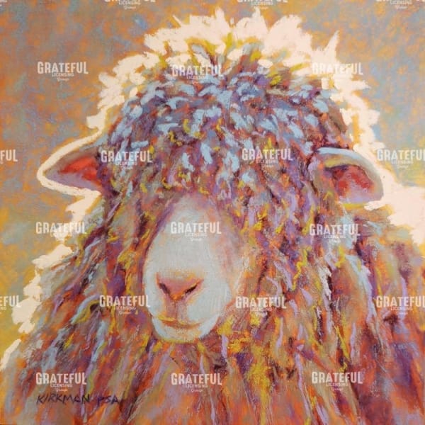 Shaggy Sheep