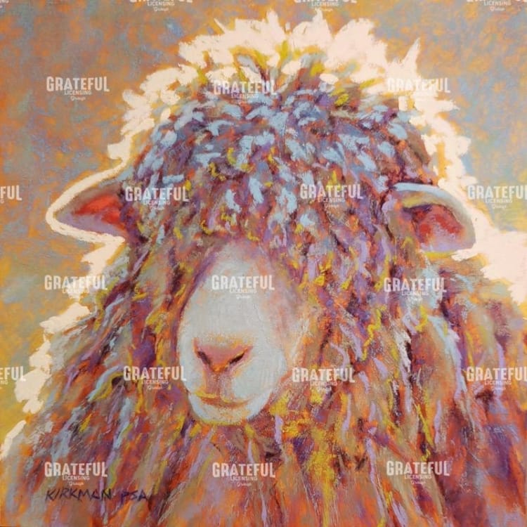 Shaggy Sheep
