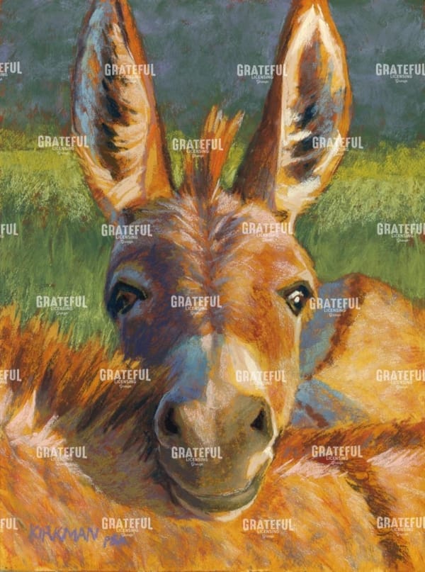 Peek-a-Burro