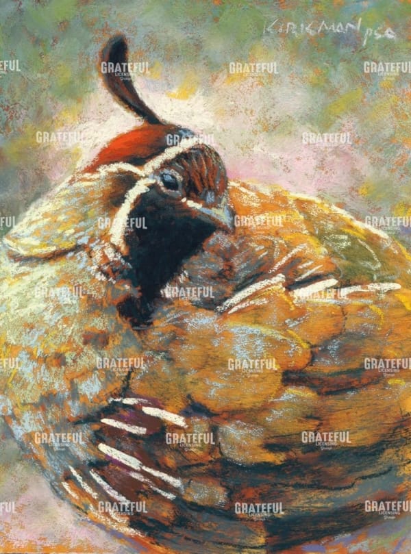 Q is for Quail