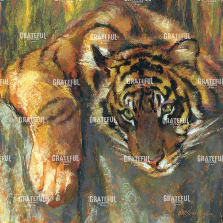 T is for Tiger