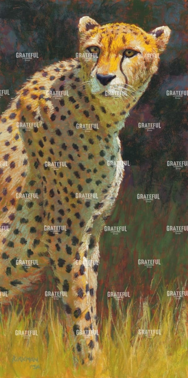 C is for Cheetah