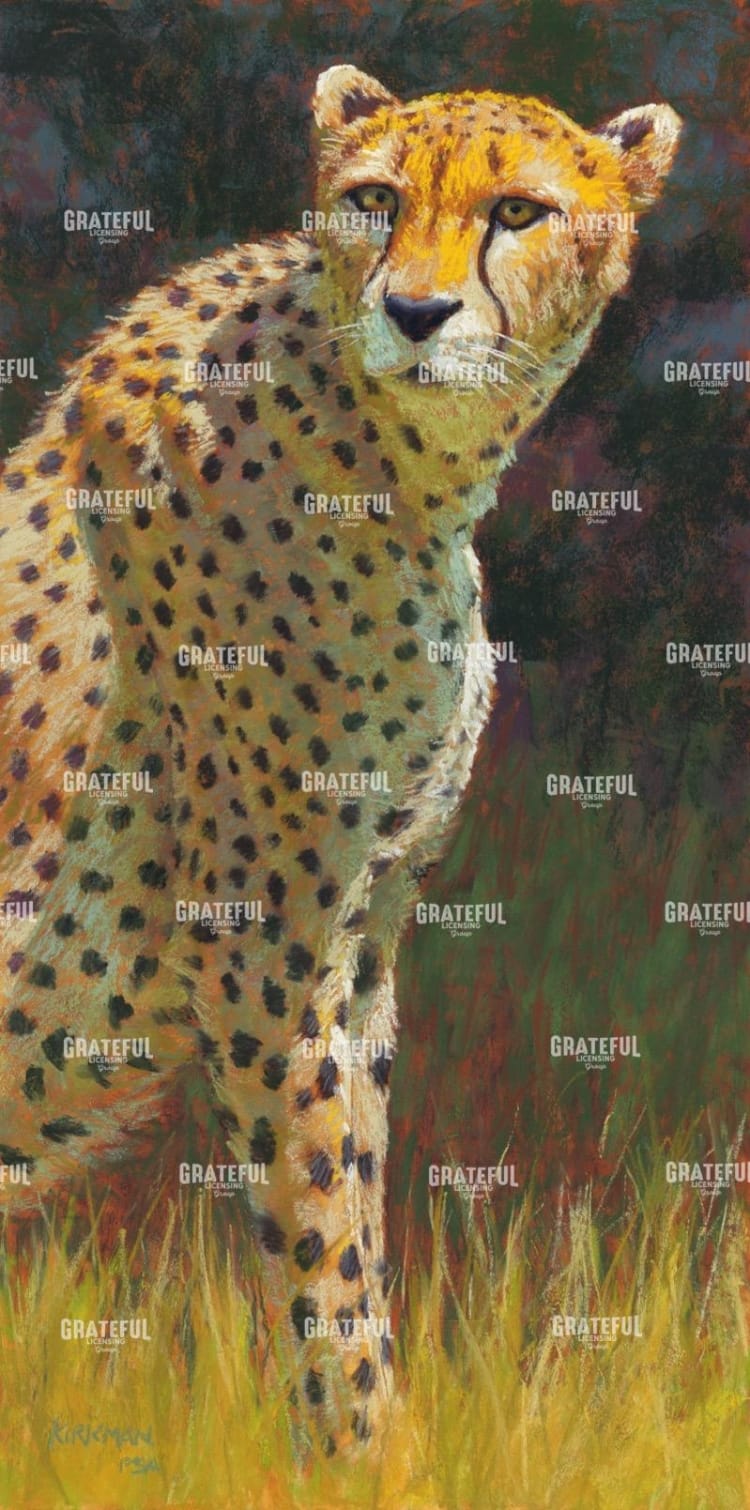 C is for Cheetah