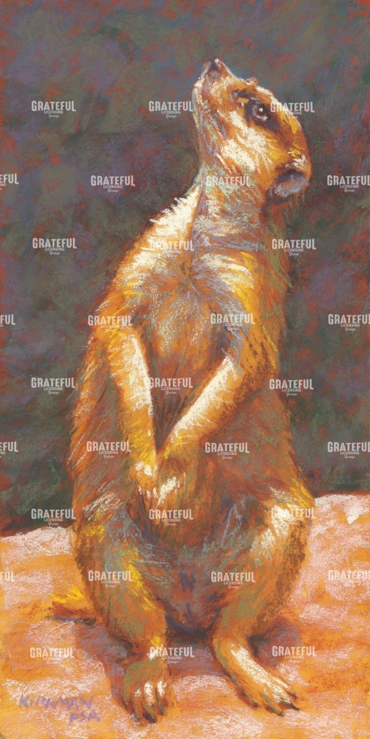 M is for Meerkat
