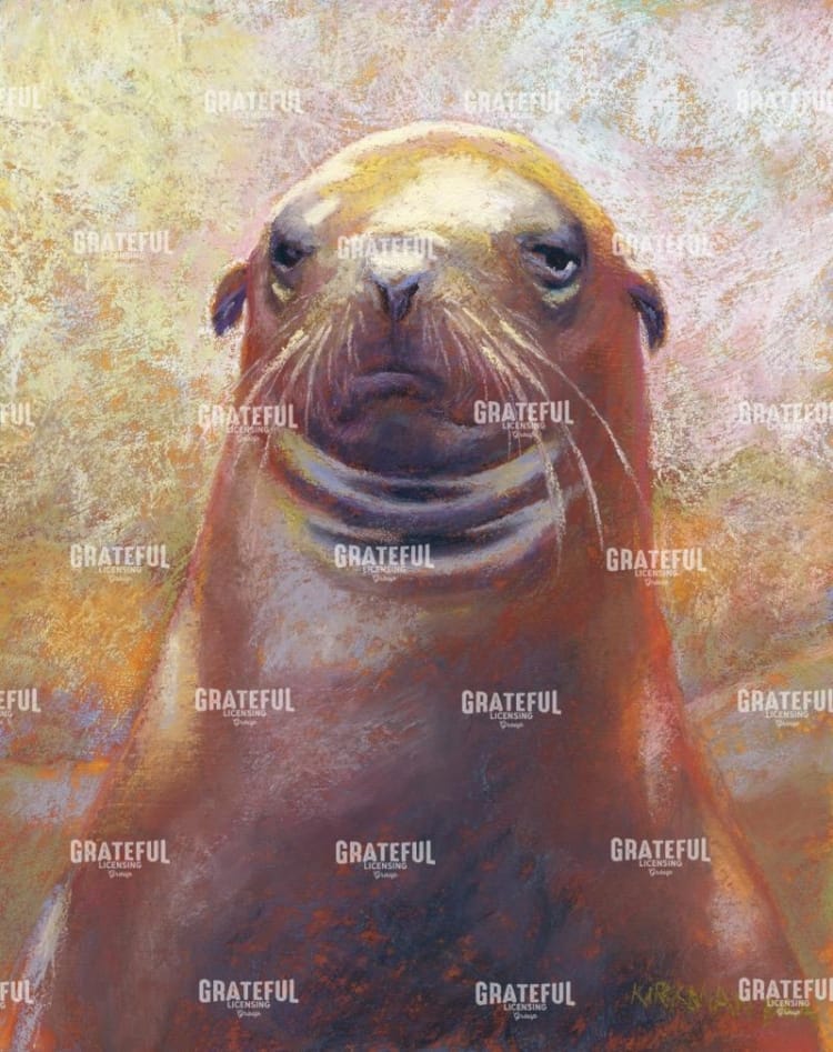 S is for Sea Lion