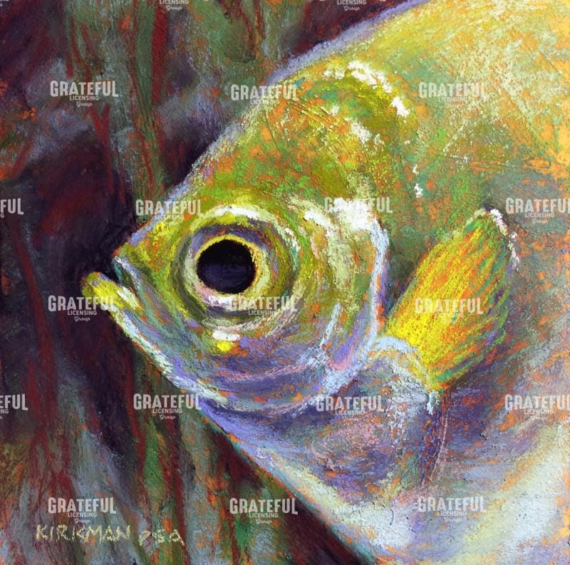 Profile of an Angelfish