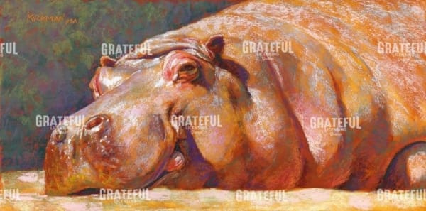 H is for Hippo