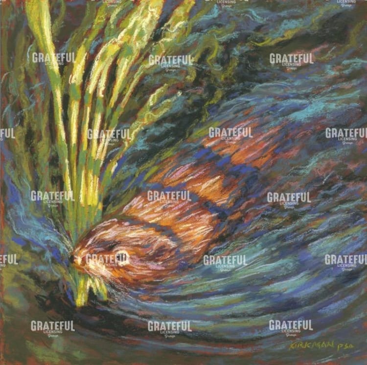 Nesting (formerly Nutria)