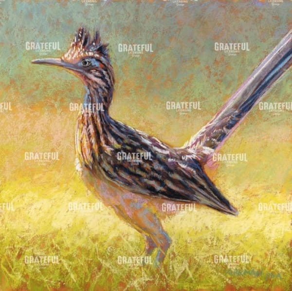 R is for Roadrunner