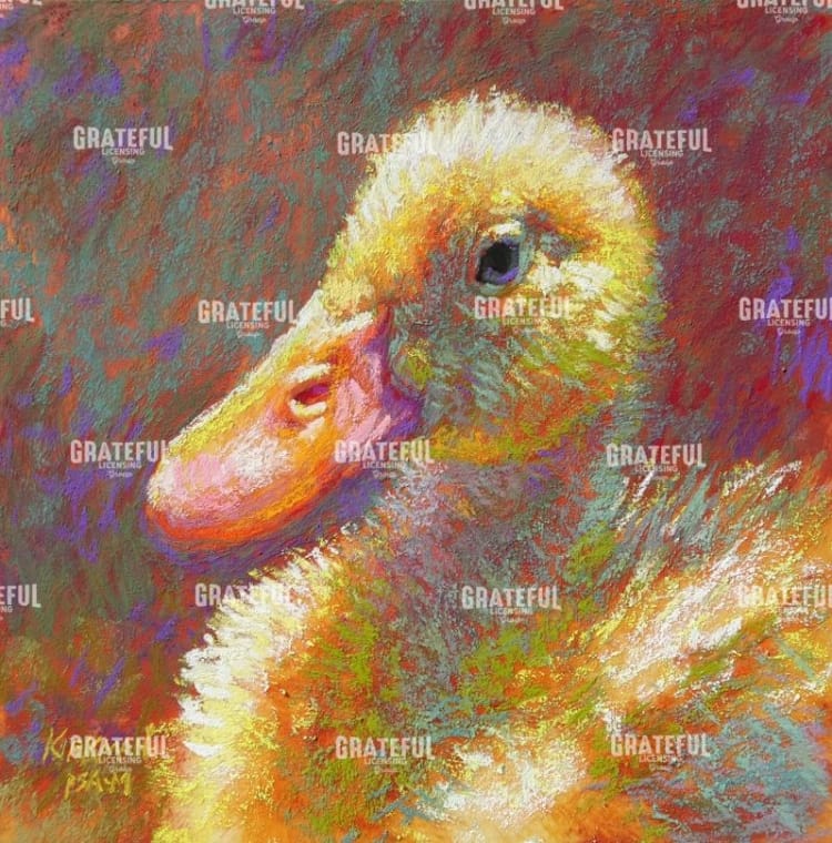 Ducky