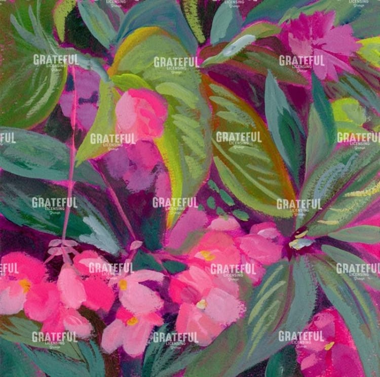 Begonia