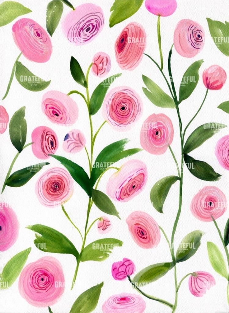 Ranunculus Reverie