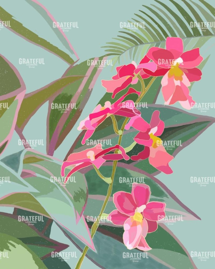 Single Orchid