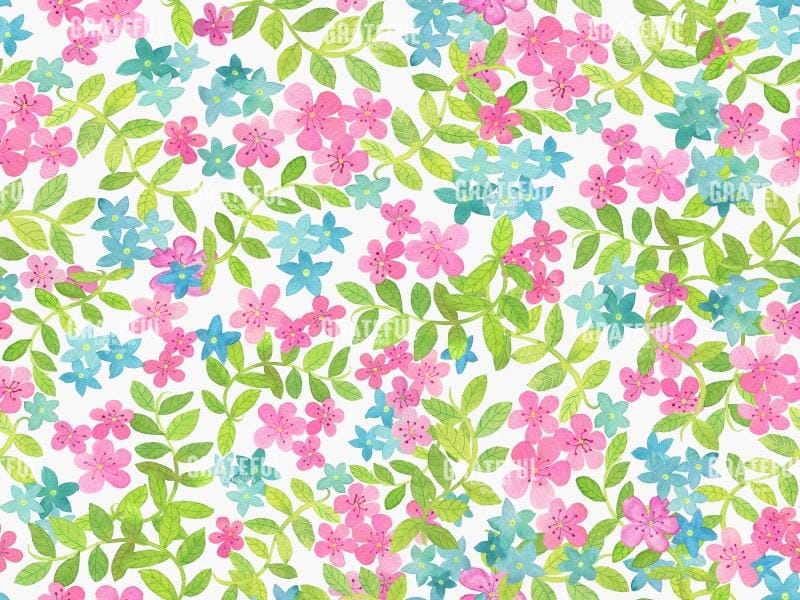 PInk and Blue Flowers