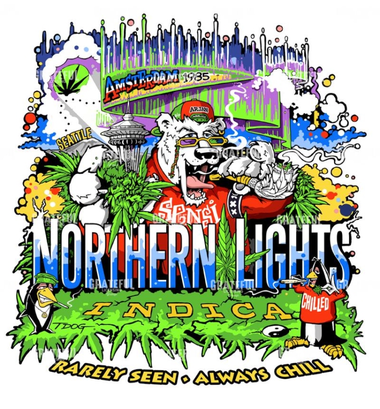Northern Lights