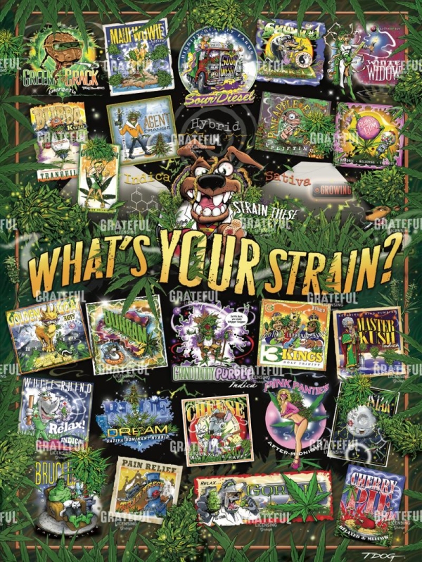 Strain Tribute