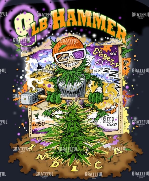 9LB Hammer